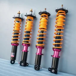 Eibach Pro-Plus Fahrwerk